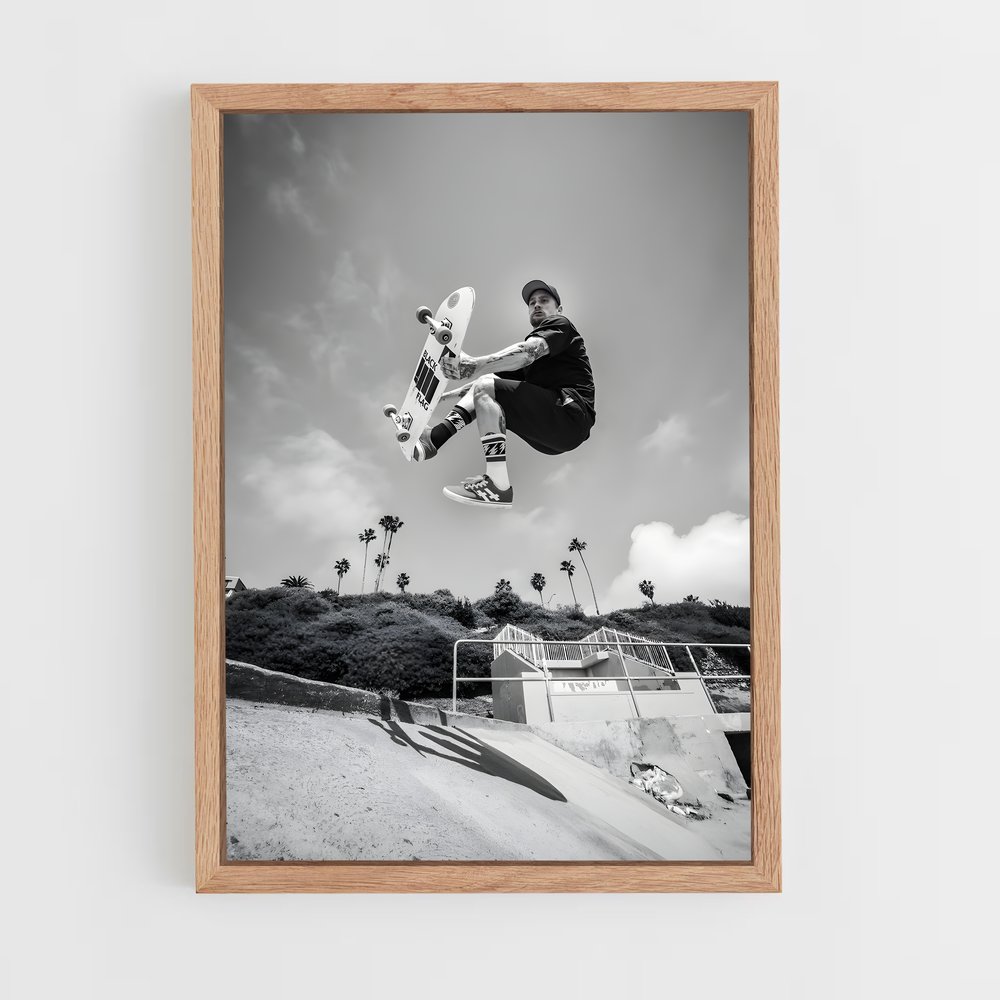 Poster Mike de vallely – affiche Skateboard (vue 4)